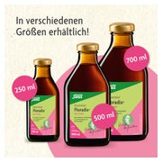 Floradix mit Eisen 250 ml