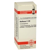 Aethusa C 30 Globuli 10 g
