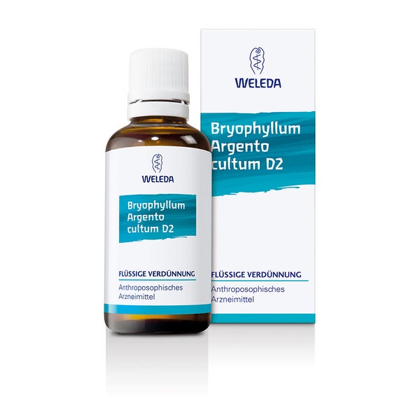 Bryophyllum Argento Cultum D 3 Dilution 50 ml