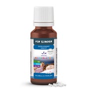 Produktabbildung: Lemon Pharma Bachblüten Globuli Kinder – Geruhsame Nacht 20 g