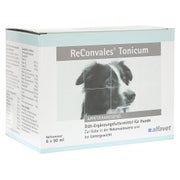 Reconvales Tonicum Hunde 6X90 ml