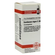 Produktabbildung: Sambucus Nigra C 30 Globuli 10 g
