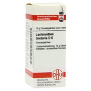 Produktabbildung: Lachnanthes Tinctoria D 6 Globuli 10 g