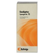 Synergon Komplex 73 Eucalyptus Tropfen 50 ml