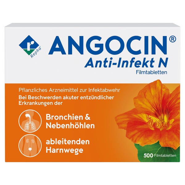 ANGOCIN Anti-Infekt N 500 St