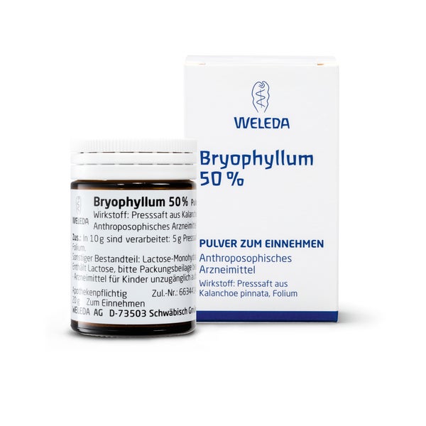 Bryophyllum 50% Pulver zum Einnehmen 50 g