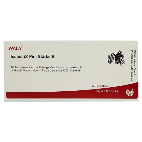 Iscucin pini Stärke B Ampullen 10X1 ml