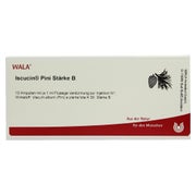 Iscucin pini Stärke B Ampullen 10X1 ml
