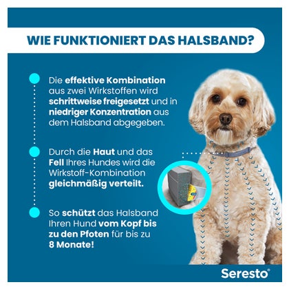 Erfahrungen zu Seresto Hund bis 8 kg 1,25 + 0,56 Halsband 1 St | medpex