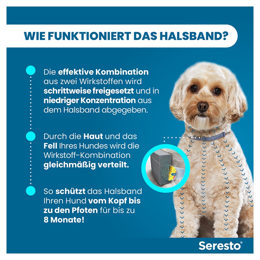 hundebett donut orthopädisch Flauschiges Donut Hundebett für orthopädischen Schlaf – Canivoa main image 0