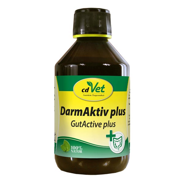 Darm Aktiv plus 250 ml