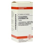 Produktabbildung: Harpagophytum Procumbens D 30 Tabletten 80 St