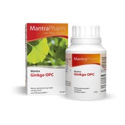 Mantra Ginkgo OPC Kapseln 90 St