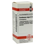 Produktabbildung: Sambucus Nigra D 4 Globuli 10 g