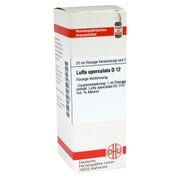 Luffa Operculata D 12 Dilution 20 ml