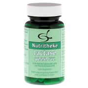 Lactase 4.000 FCC Kapseln 100 St