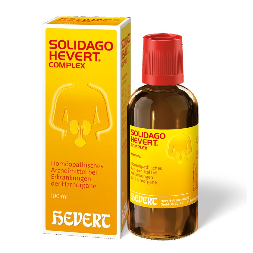 Solidago Hevert Complex Tropfen 100 ml