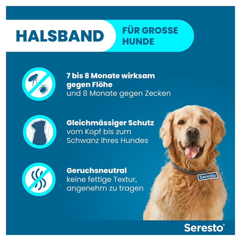hundefutter gratis proben Futterproben kostenlos | 3x500g testen