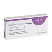 Helleborus niger  D30 OP 8 St