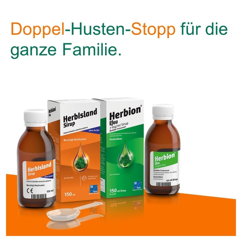 efeutute eingerollte blätter Premium XXL Efeutute am Stab 150-160cm – Green Me Up main image 0