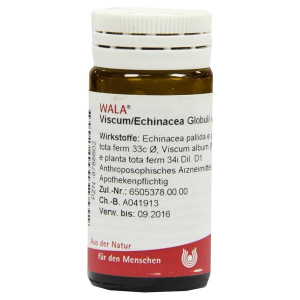Viscum Echinacea Globuli 20 g