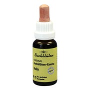 Produktabbildung: Bachblüten Murnauer Holly Tropfen 20 ml