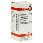 Phellandrium Aquaticum D 6 Globuli 10 g