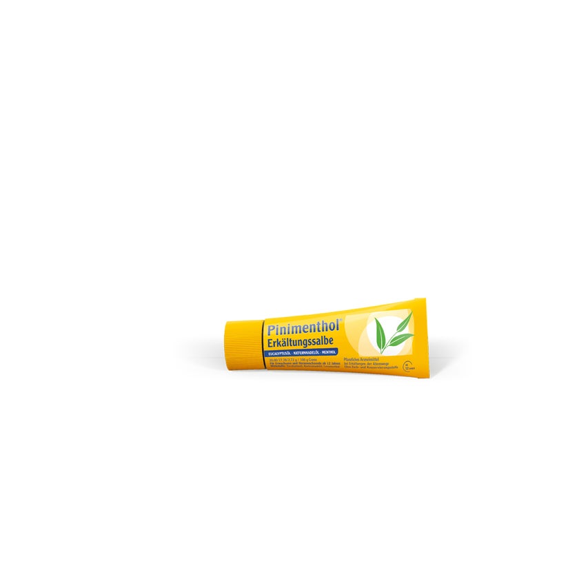 Pinimenthol Erkältungssalbe 20 g