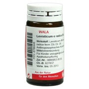 Produktabbildung: Levisticum E Radice D 6 Globuli 20 g