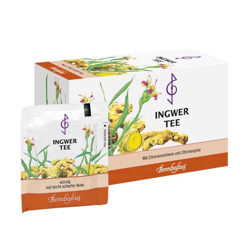 Ingwer TEE Filterbeutel 20X2 g
