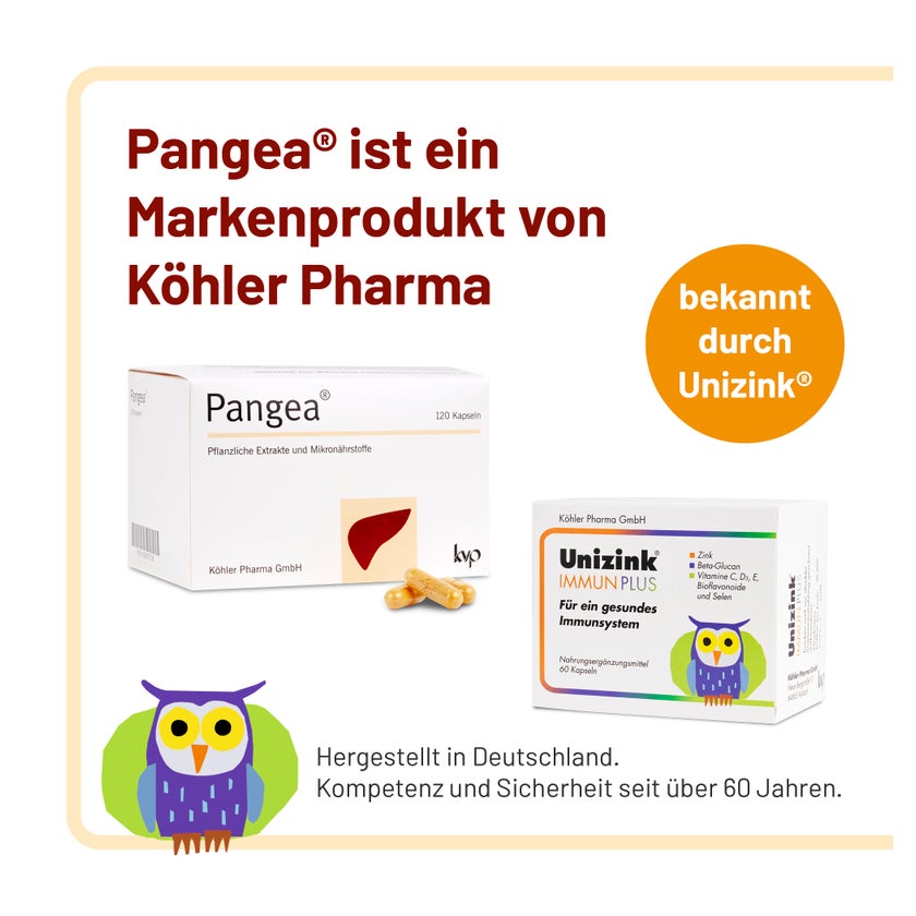 Pangea Kapseln 120 St
