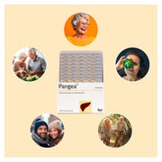 Pangea Kapseln 120 St