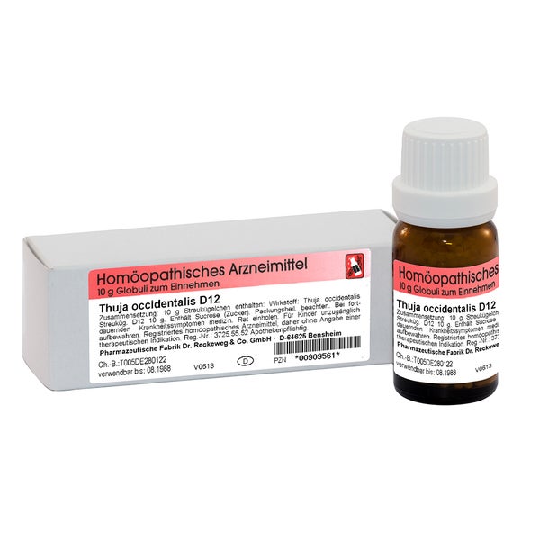 Dr. Reckeweg Thuja D30 Globuli 10 g gnstig kaufen | medpex