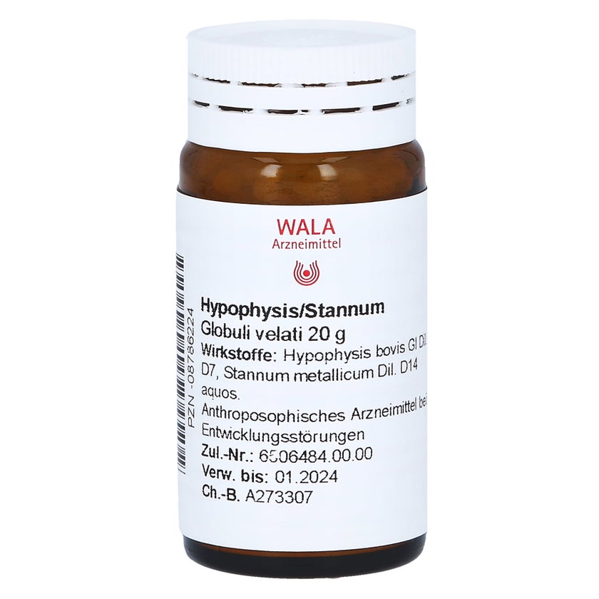 Hypophysis/stannum Globuli 20 g