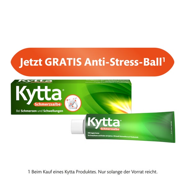 Kytta Schmerzsalbe 150 g