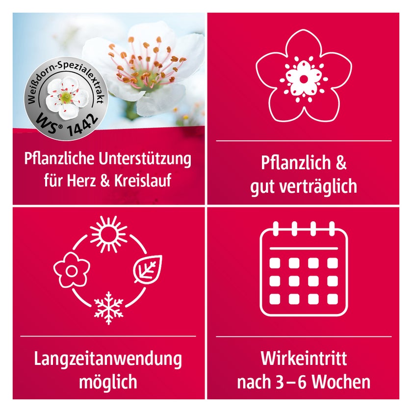 Crataegutt 450 mg Herz-Kreislauf-Tabletten 200 St