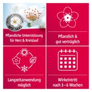 Crataegutt 450 mg Herz-Kreislauf-Tabletten 200 St