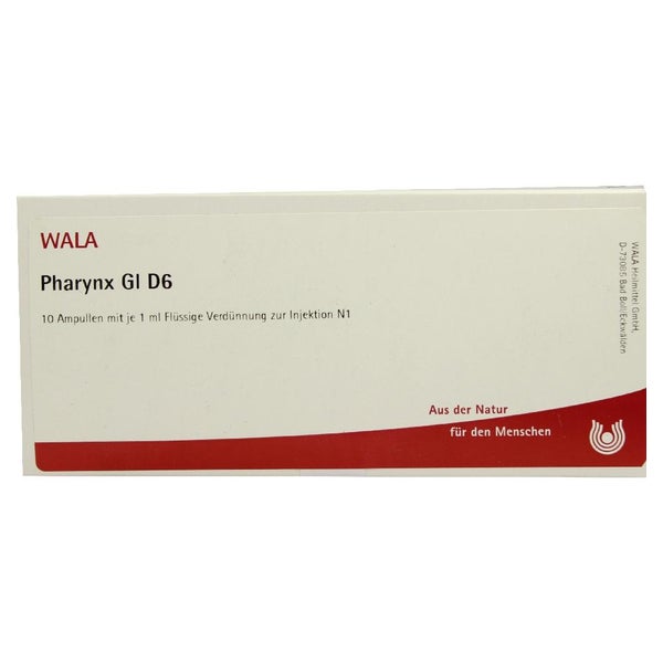 Pharynx GL D 6 Ampullen 10X1 ml