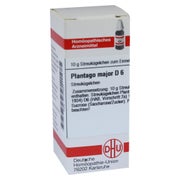 Plantago Major D 6 Globuli 10 g