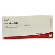 Mesenchym GL D 6 Ampullen 10X1 ml