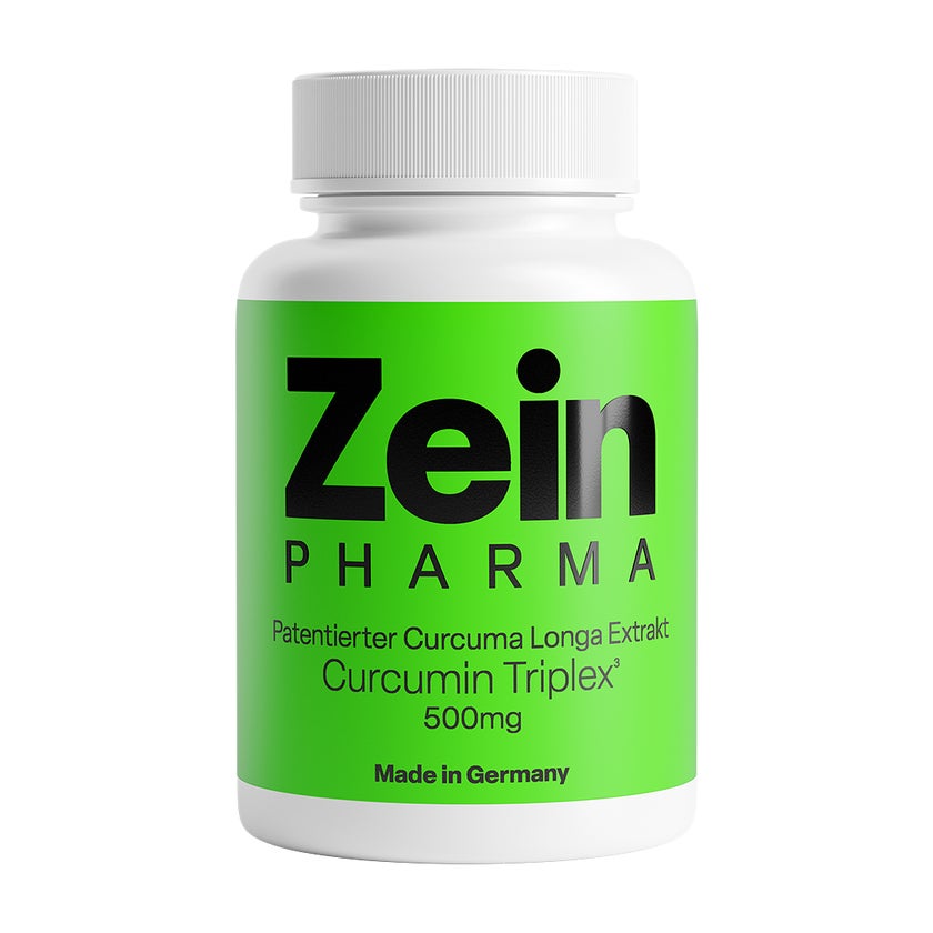Curcumin Kapseln mit Triplex3 Extrakt 500 mg 40 St