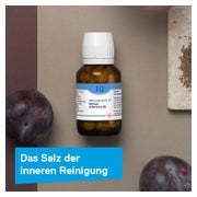 DHU Schüßler-Salz Nr. 10 Natrium sulfuricum D6 80 St