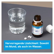 DHU Schüßler-Salz Nr. 10 Natrium sulfuricum D6 80 St