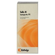 Synergon Komplex 91 Salix N Tropfen 50 ml