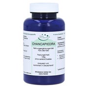 Chanca Piedra Pulver pur 100 g