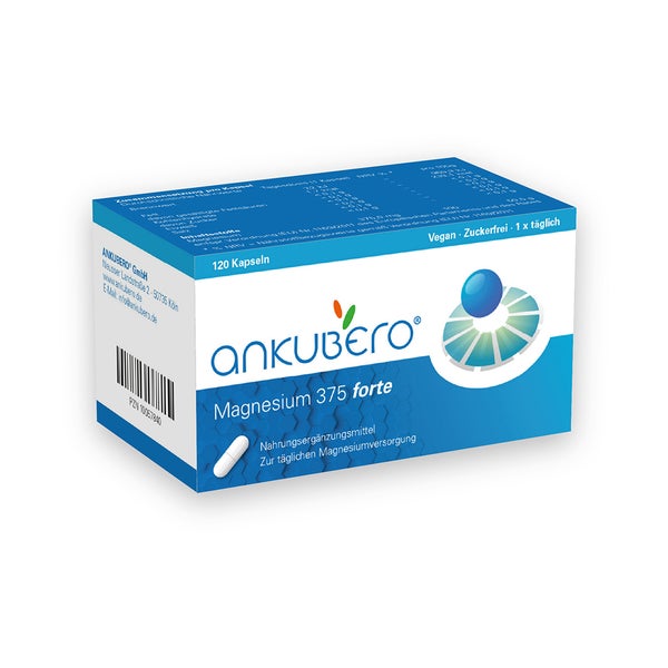 Magnesium 375 forte 120 St