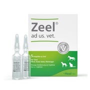 Produktabbildung: Zeel ad us. vet. Ampullen 5X5 ml