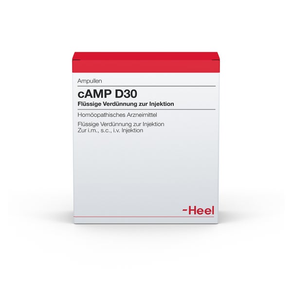 CAMP D 30 Ampullen 10 St