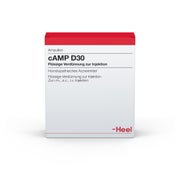 CAMP D 30 Ampullen 10 St