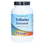 Produktabbildung: Tribulus Terrestris 1200 mg Kapseln 120 St